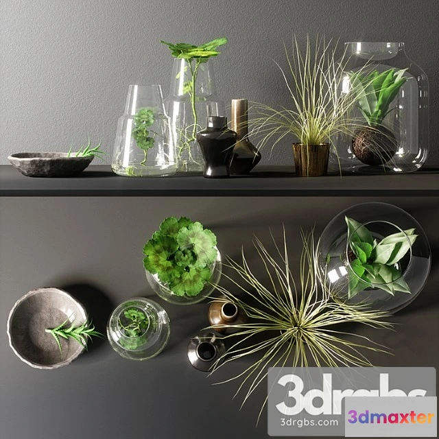 924970 - Decorative set_22 - No.2