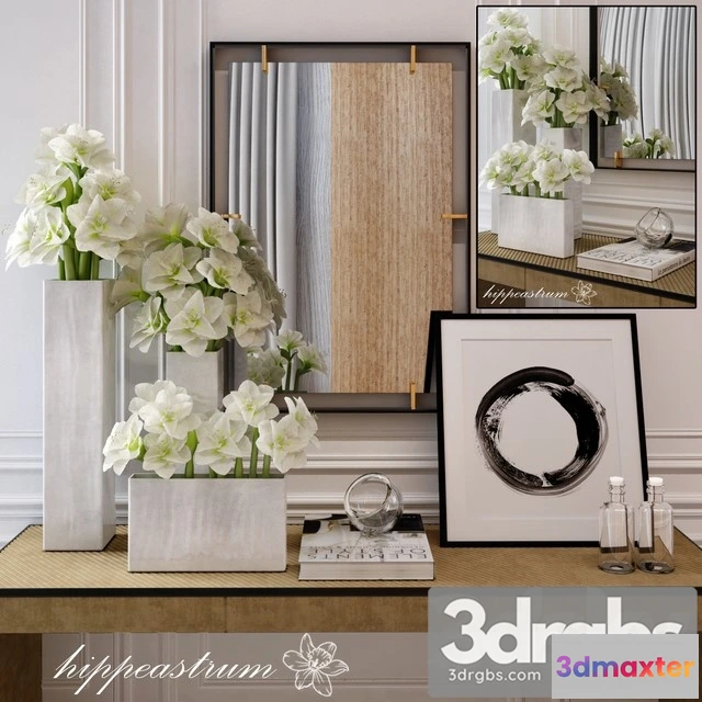 925206 - Hippeastrum Flower Decorative Set