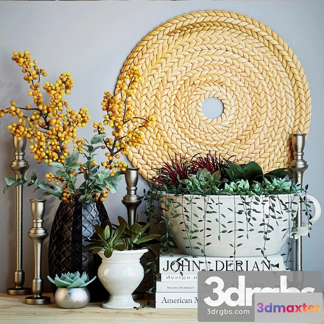 925416 - Plant Decor Set 2