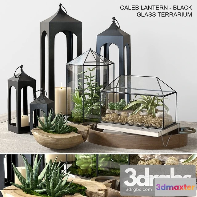 925434 - Pottery Barn Glass Terrarium
