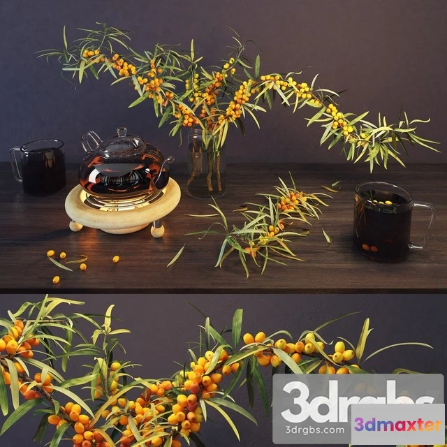 925474 - Sea Buckthorn and Kettle