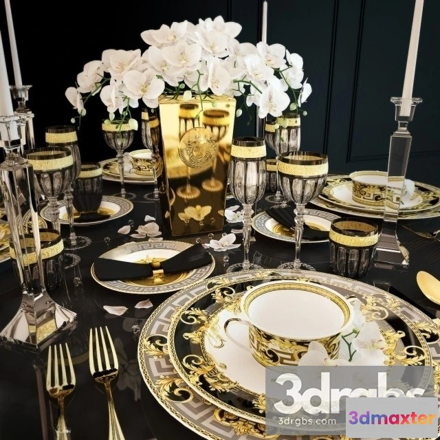 925492 - Serving Versace Prestige Gala