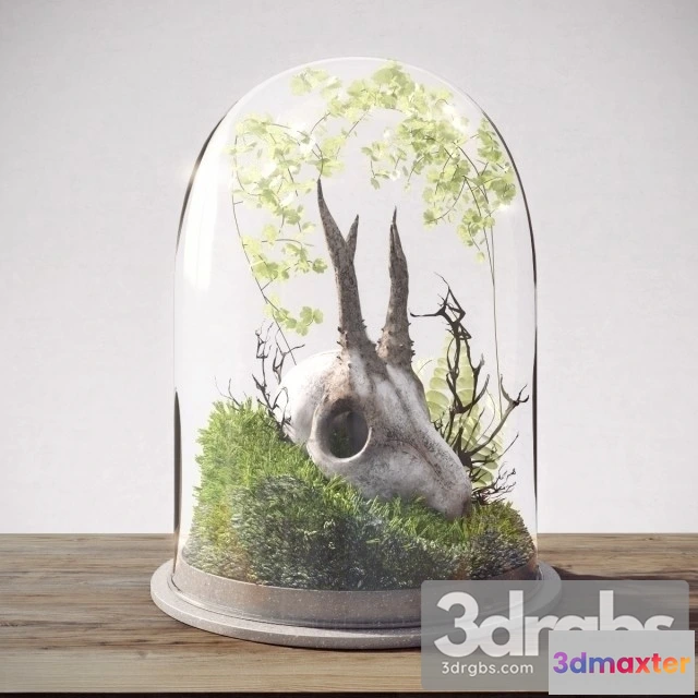 925584 - Skull In Flask