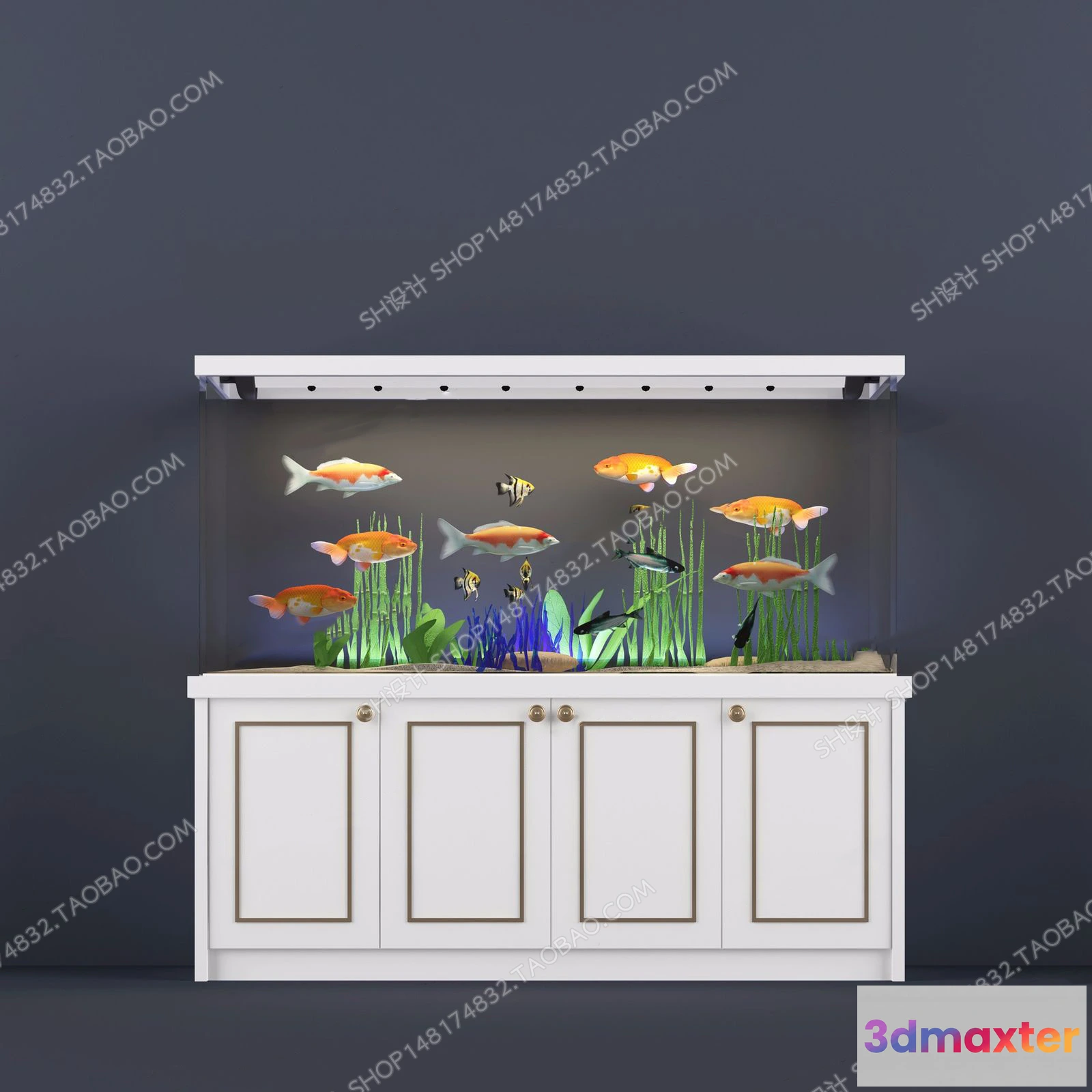 1135594 - Aquarium Fish - 3Dsmax Models - 0003