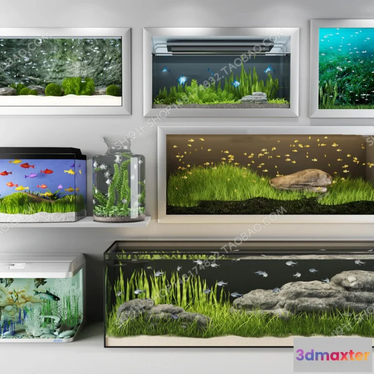 1135596 - Aquarium Fish - 3Dsmax Models - 0004