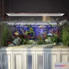 1135602 - Aquarium Fish - 3Dsmax Models - 0007