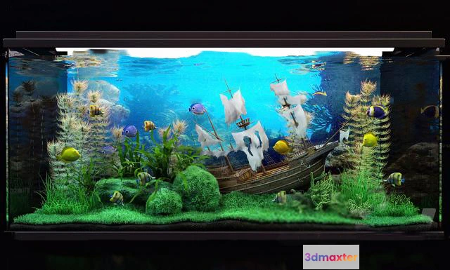 1135610 - Aquarium Fish - 3Dsmax Models - 0011