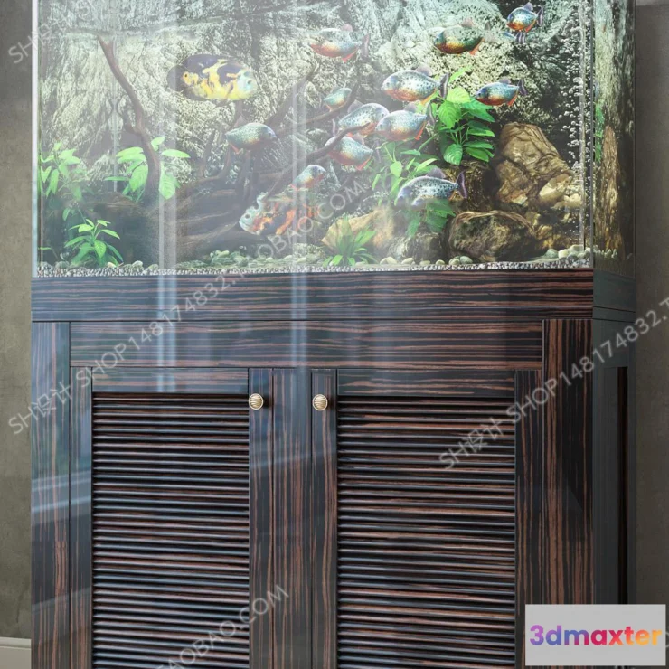 1135614 - Aquarium Fish - 3Dsmax Models - 0013