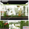 1135626 - Aquarium Fish - 3Dsmax Models - 0019