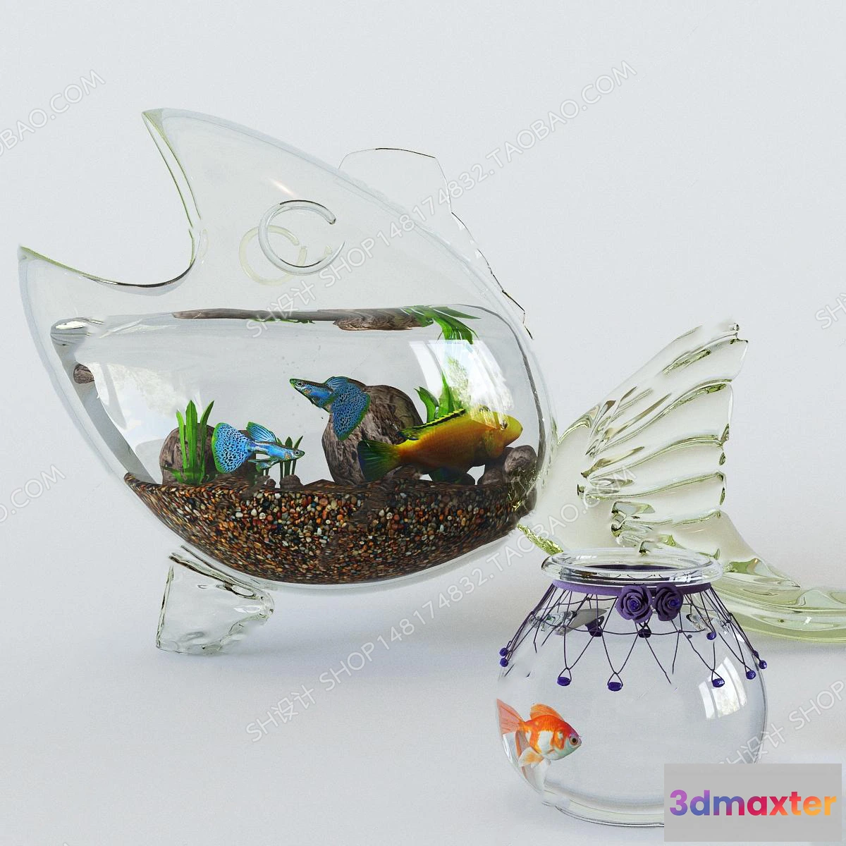 1135628 - Aquarium Fish - 3Dsmax Models - 0020