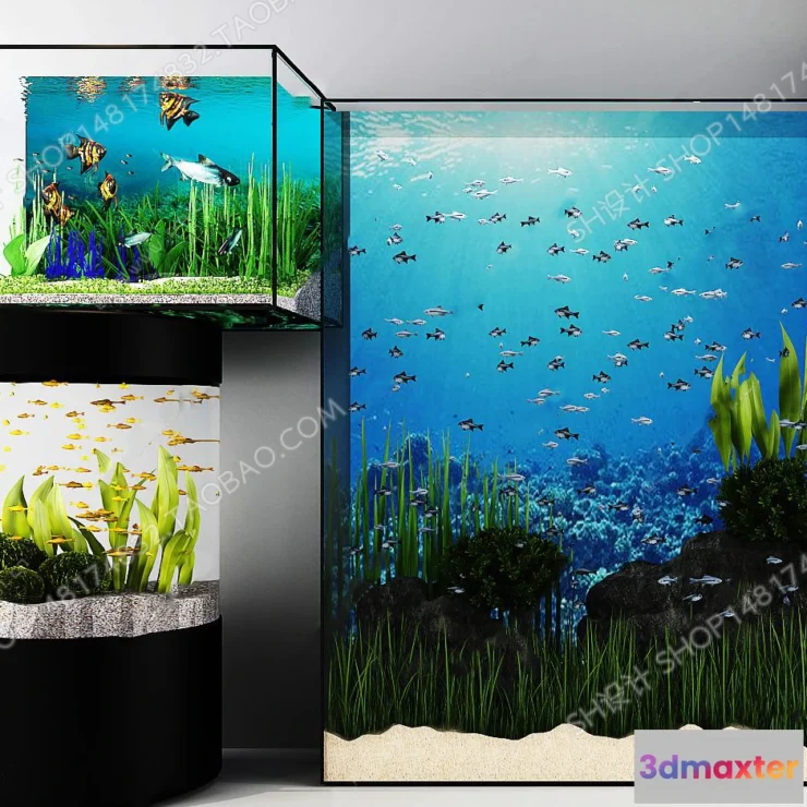 1135630 - Aquarium Fish - 3Dsmax Models - 0021
