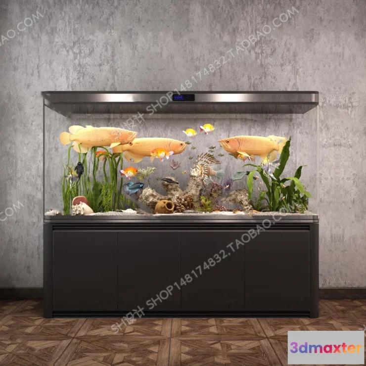 1135642 - Aquarium Fish - 3Dsmax Models - 0027
