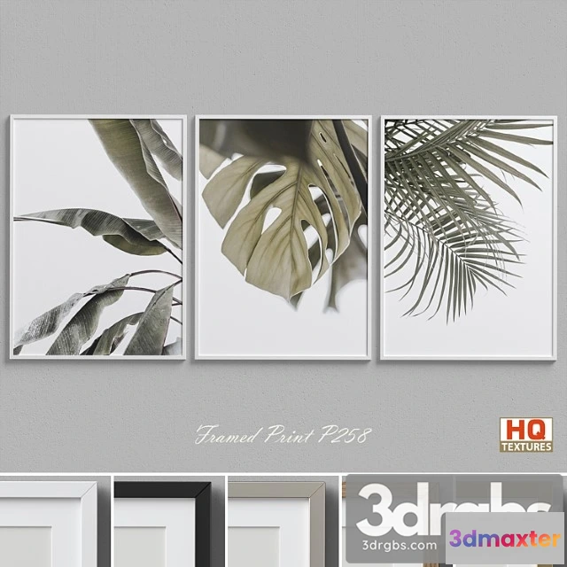 1020188 - Framed print p-258