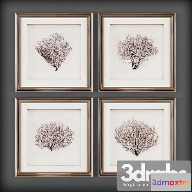 1020604 - Pictures293