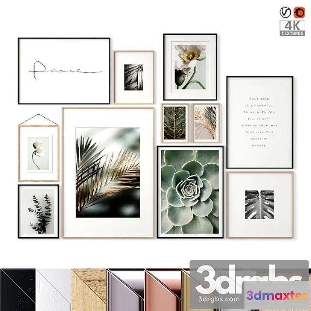 1020614 - Plant pictures