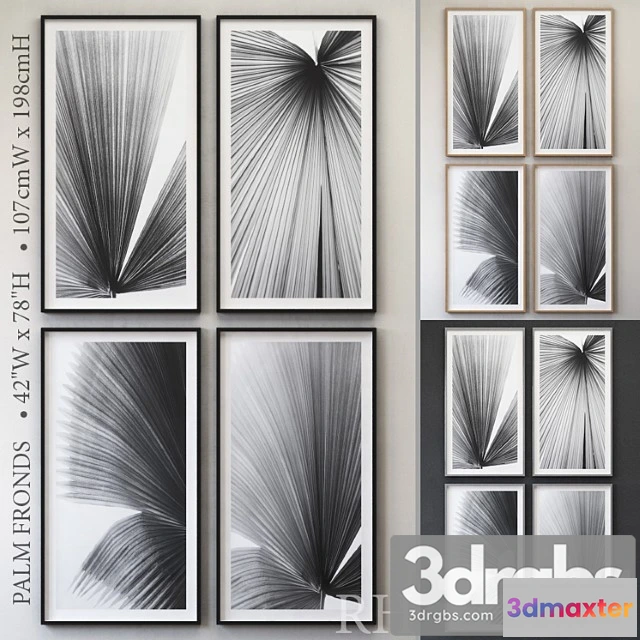 1020706 - Rh palm fronds