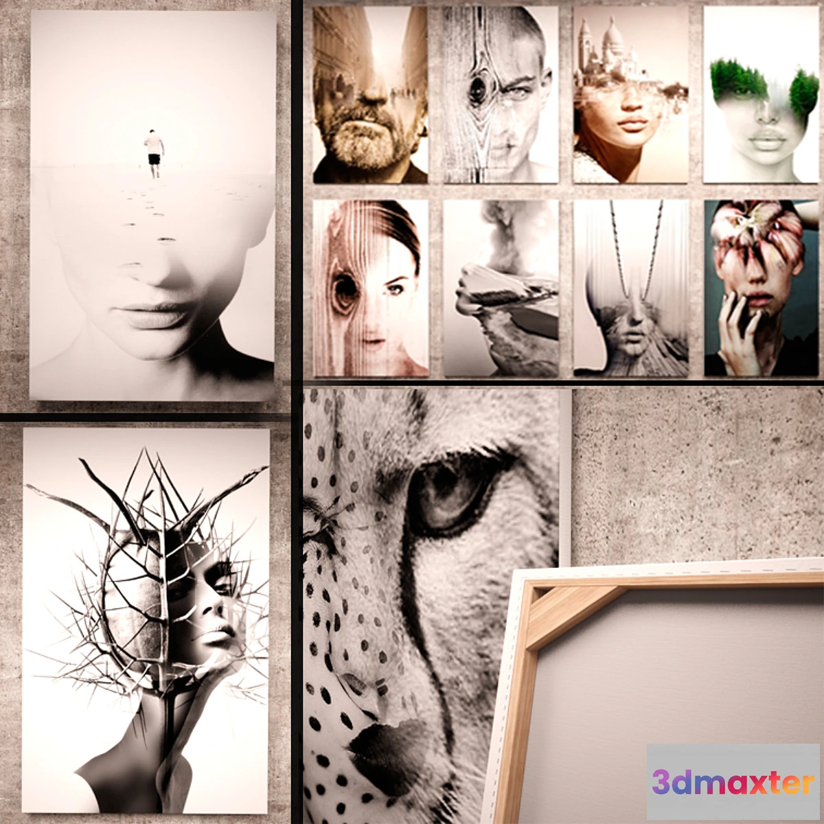 1291519 - Collages Antonio Mora (16 pcs.) 3D Max