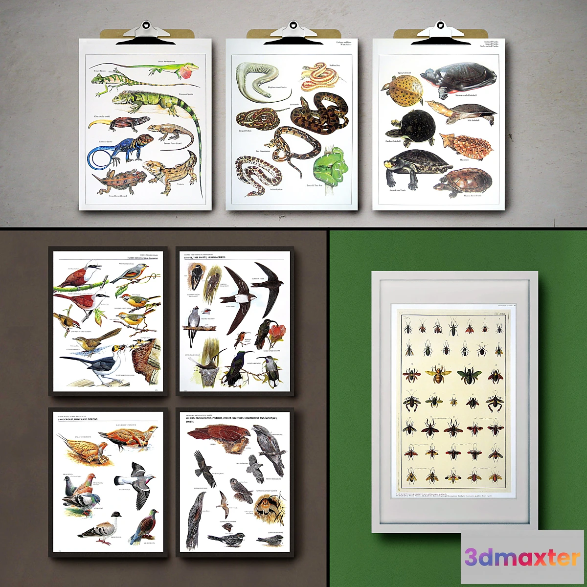 1338502 - Botanical Vintage Book Pages. 24 Prints (set 3) 3D Max