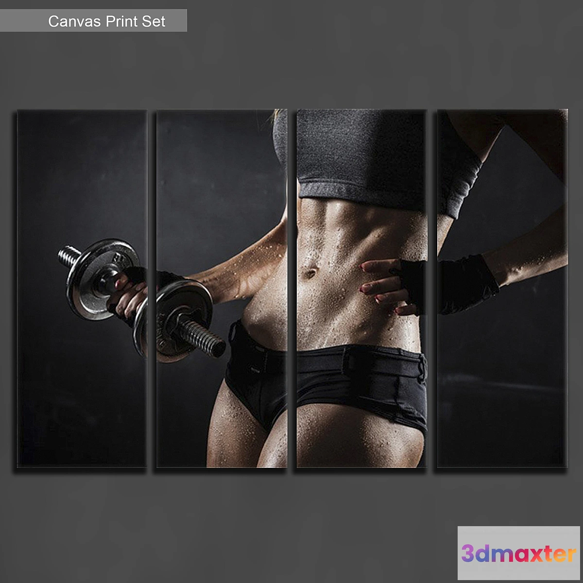 1352251 - Pictures 525 3D Max