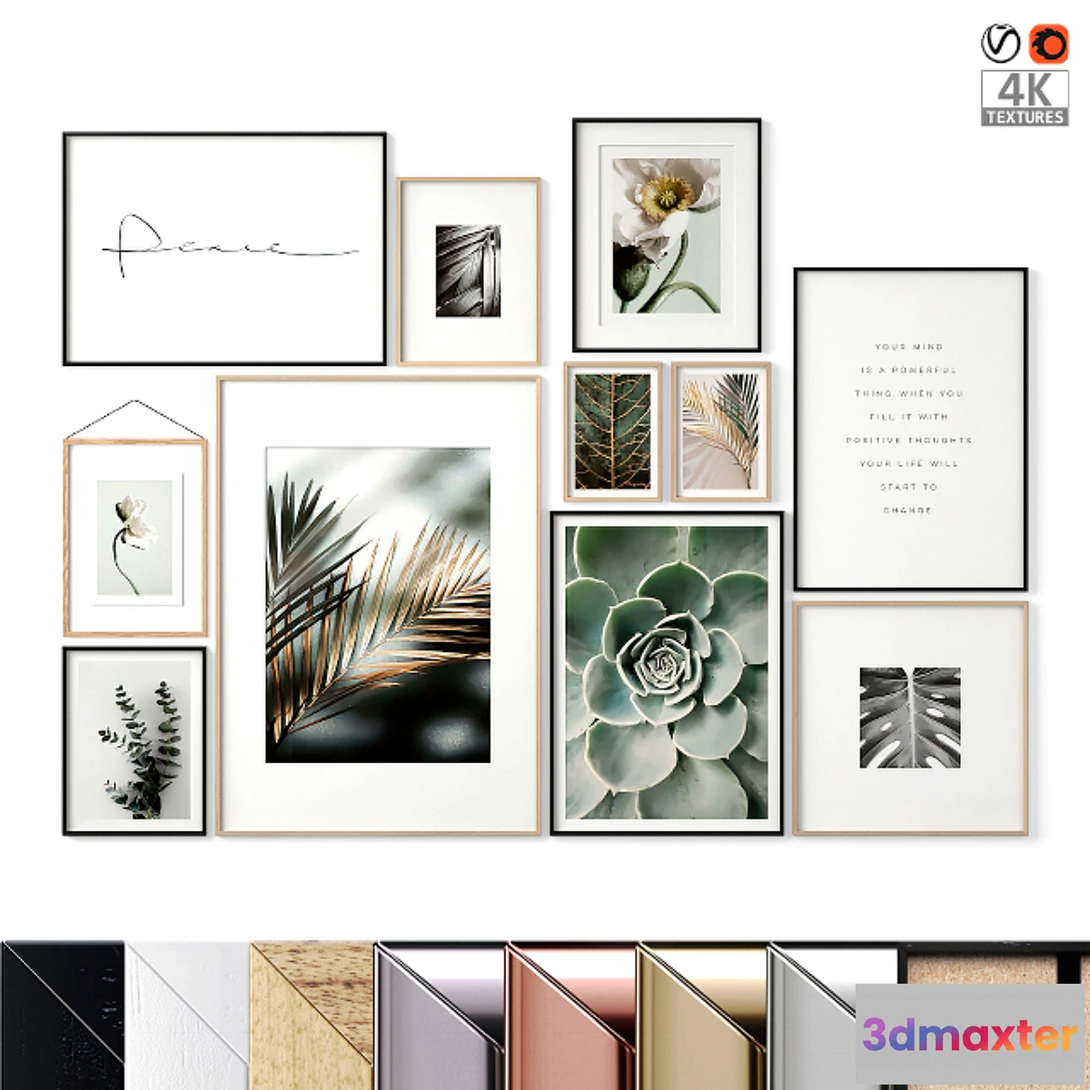 1355714 - Картины растения 3D Max