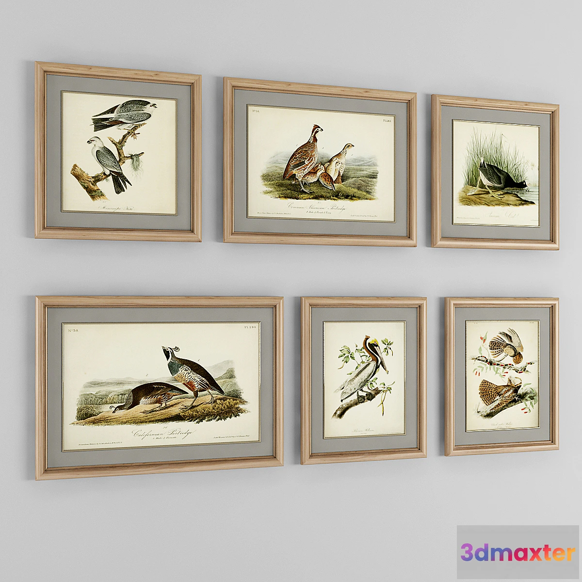 1393650 - A set of posters. Birds 2 3D Max