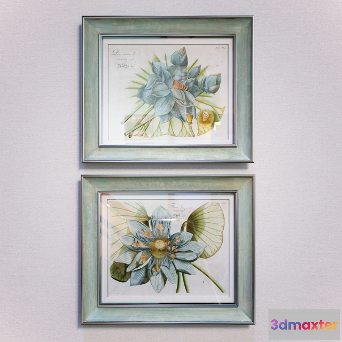 1398874 - Blue Lotus Flower pictures 3D Max