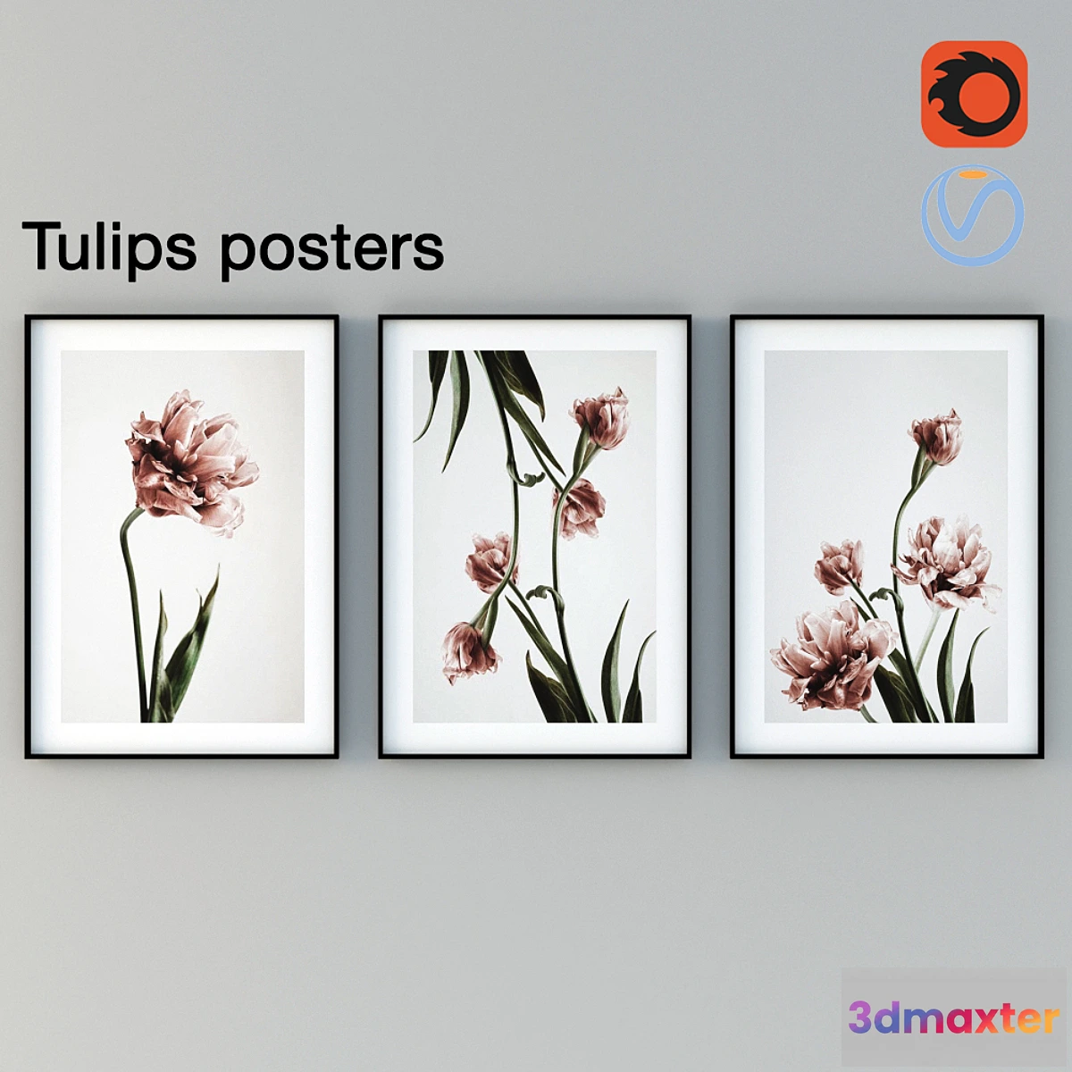 1406744 - Tulips Posters 3D Max