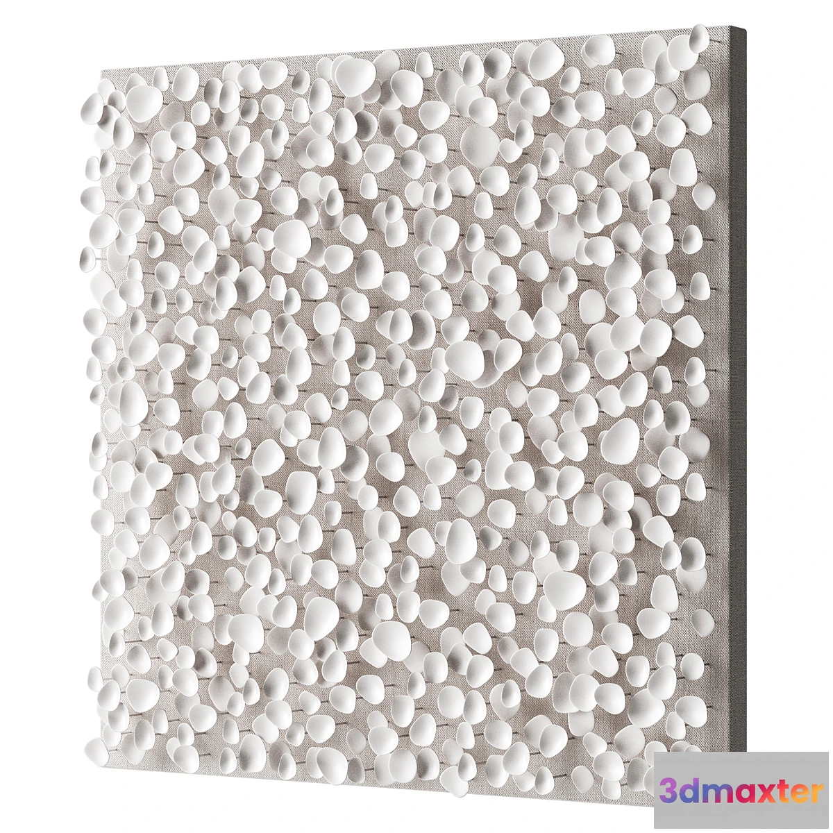 1406804 - Art canvas with white petals 3D Max