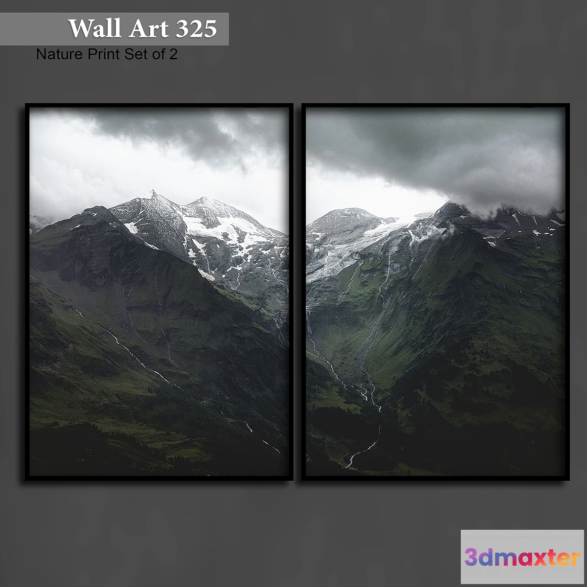 1407072 - Paintings 325 3D Max