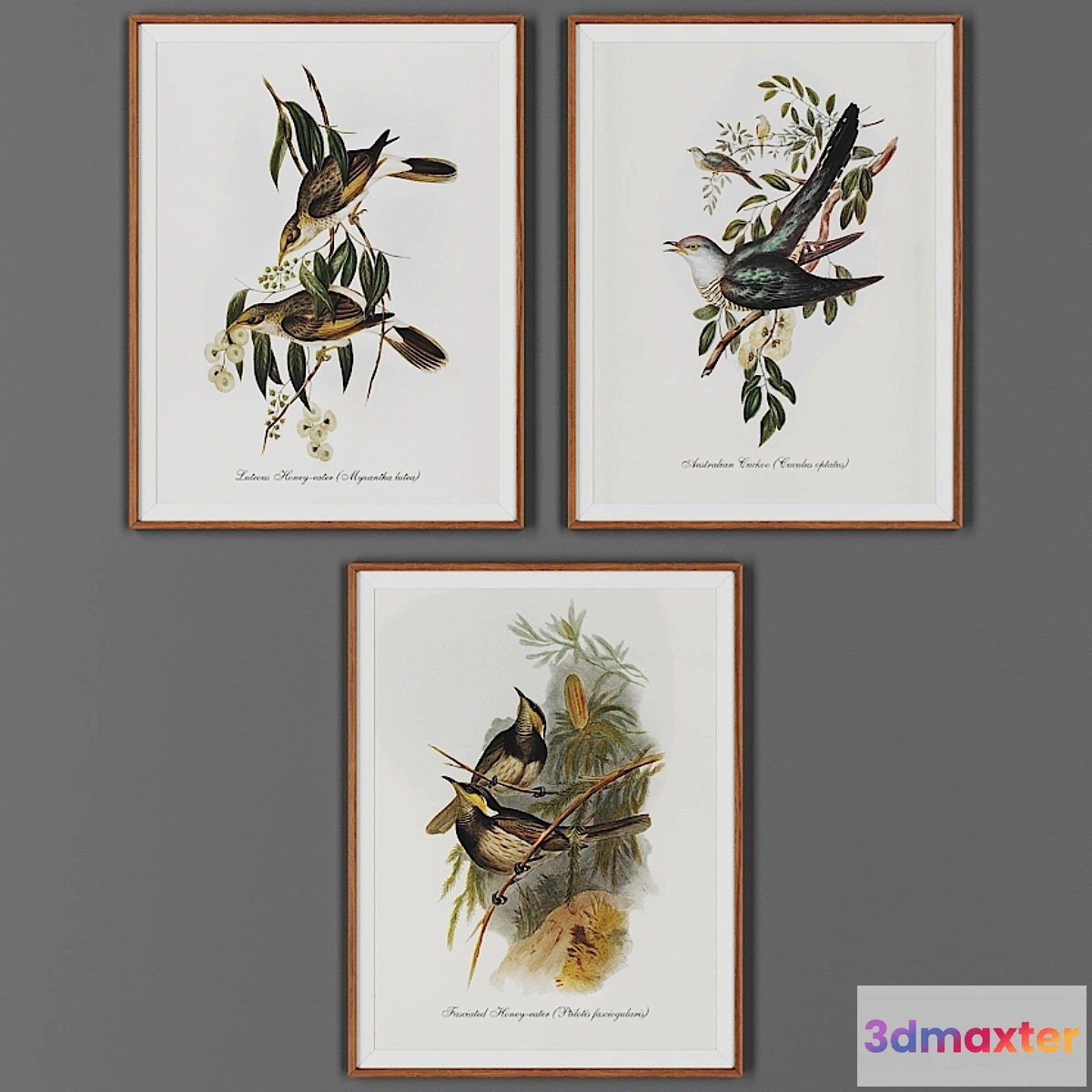 1407858 - Picture frame set 00040-59 3D Max