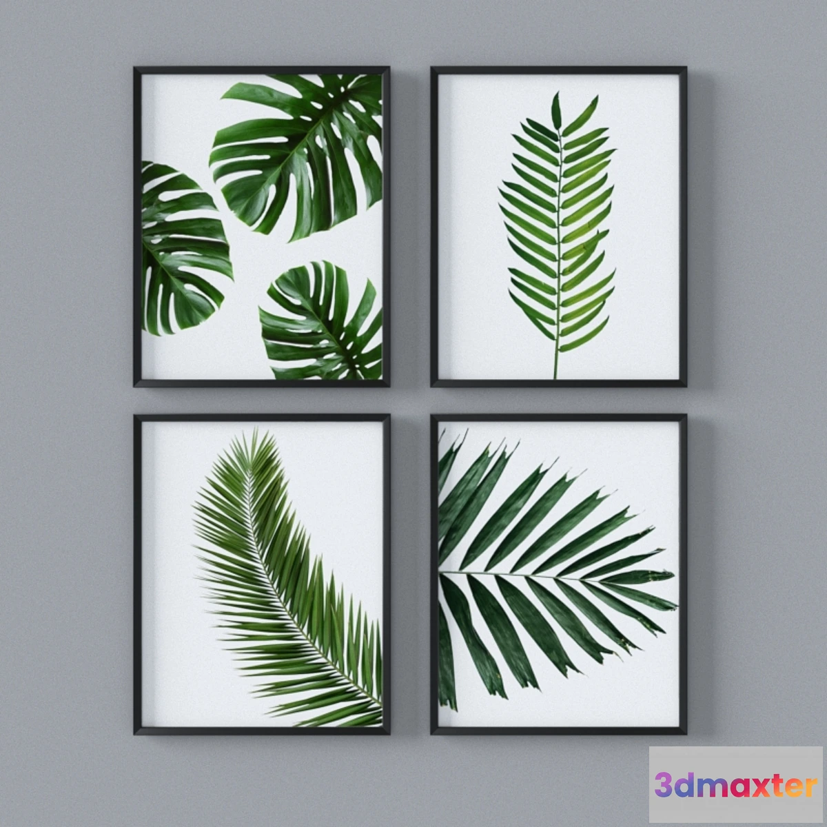 1411110 - Set of tropical leaves 3D Max