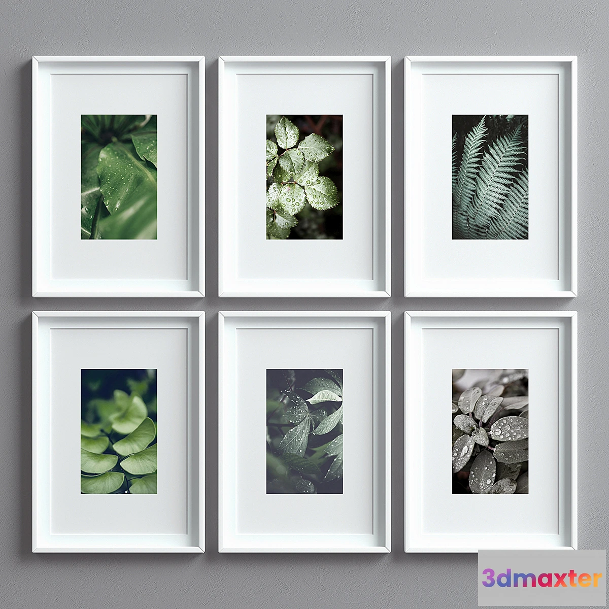 1418796 - Picture Frames Set -8 3D Max