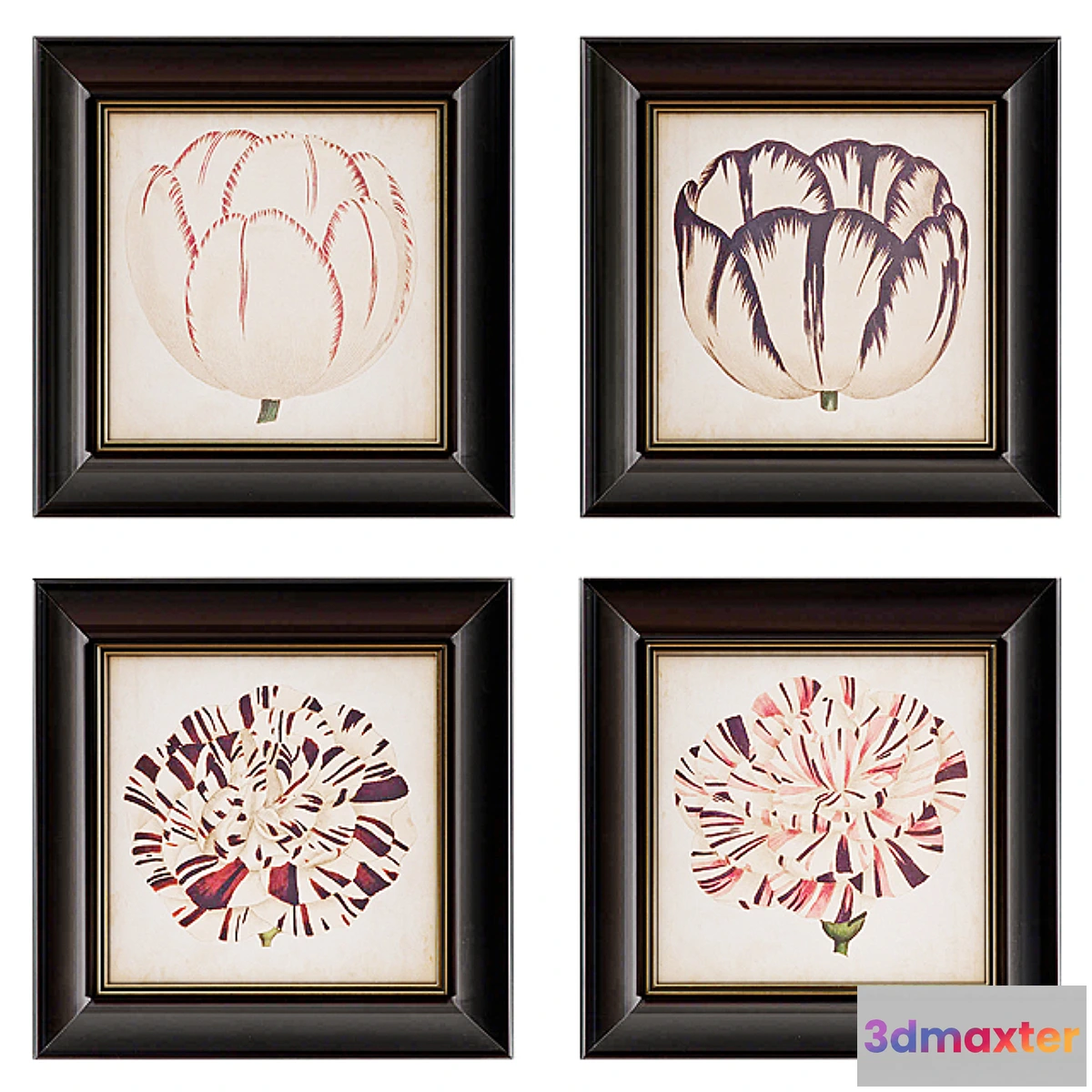 1421556 - Pop Floral Framed Wall Art Collection 3D Max