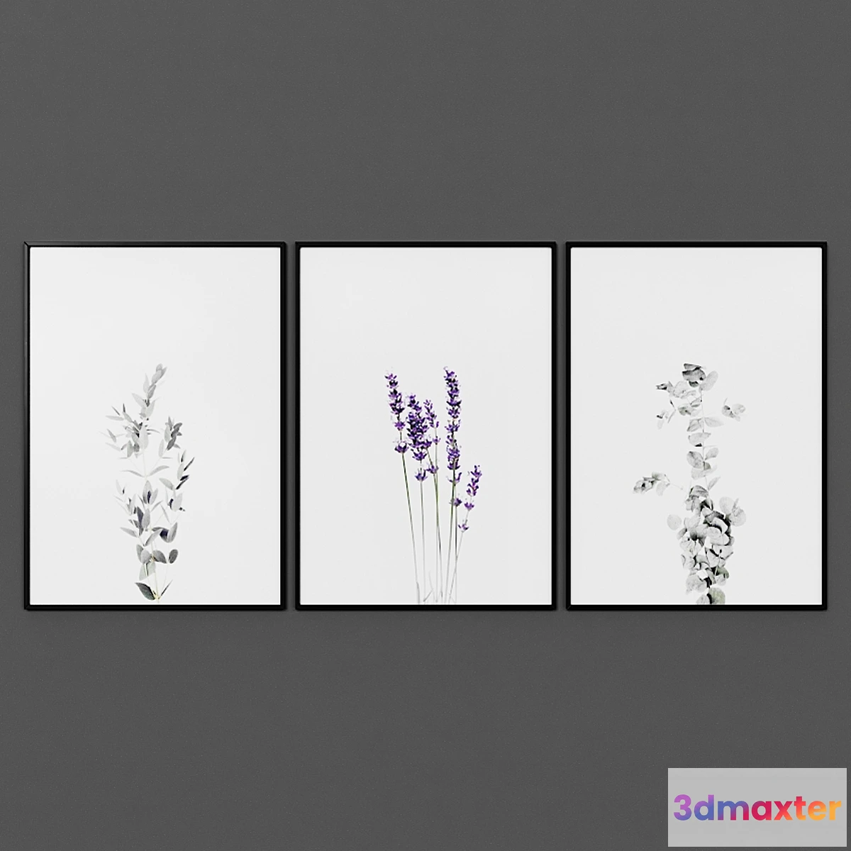 1423286 - Picture set 00054 3D Max