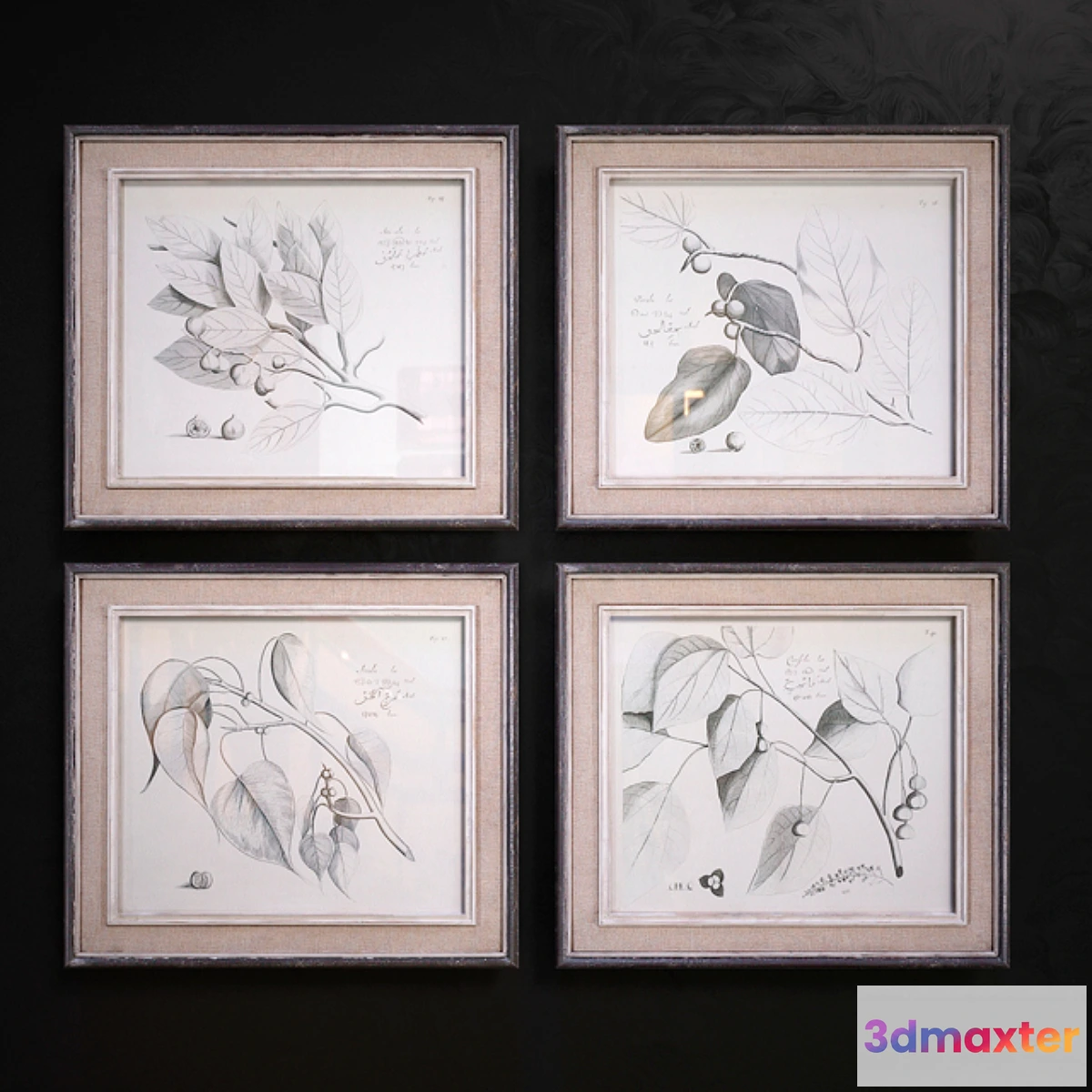 1430594 - Sepia Leaf Study pictures 3D Max