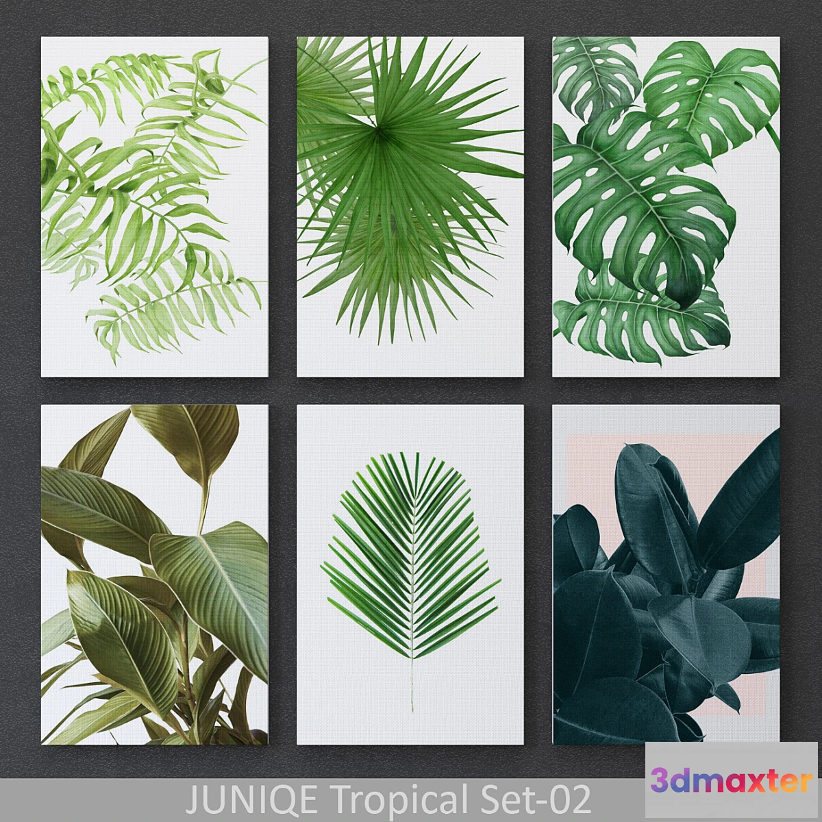 1443892 - Tropical Set-02 Framed 3D Max