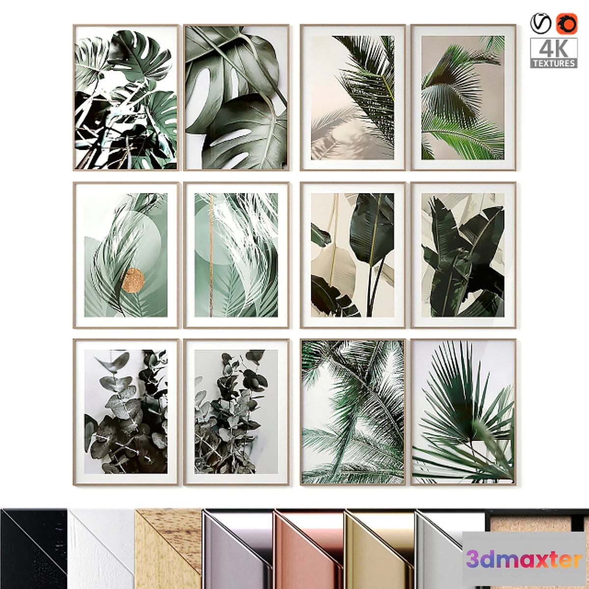 1464374 - Картины растения 3D Max