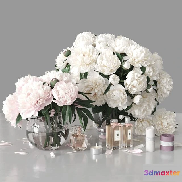 1552195 - Peonies 2 3D Max