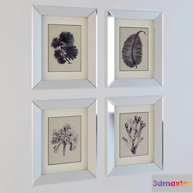 1565554 - Pictures Of Blue Coral 3D Max