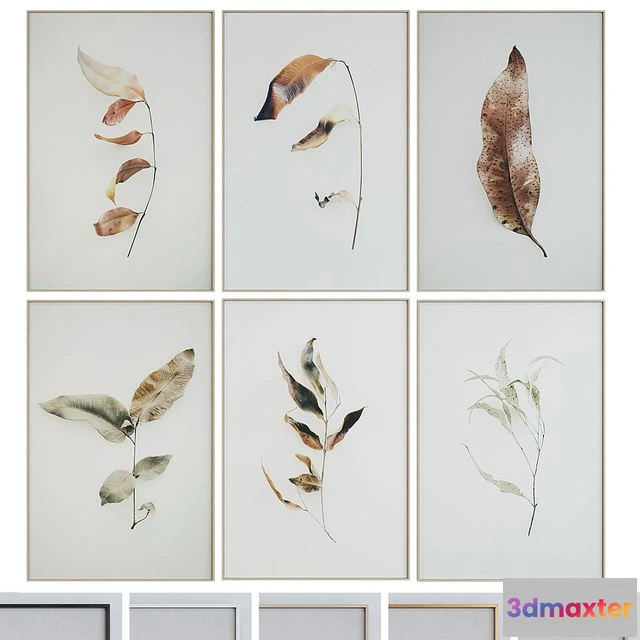 1566798 - Picture Frame Set 1005 3D Max