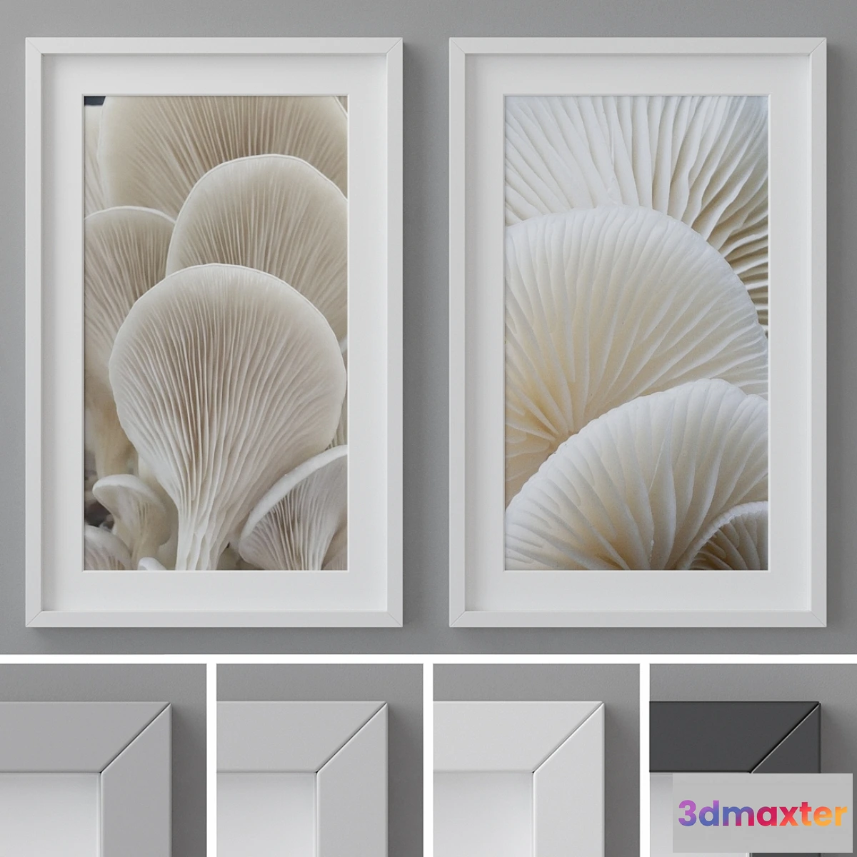 549297 - Photo Frames Set 260