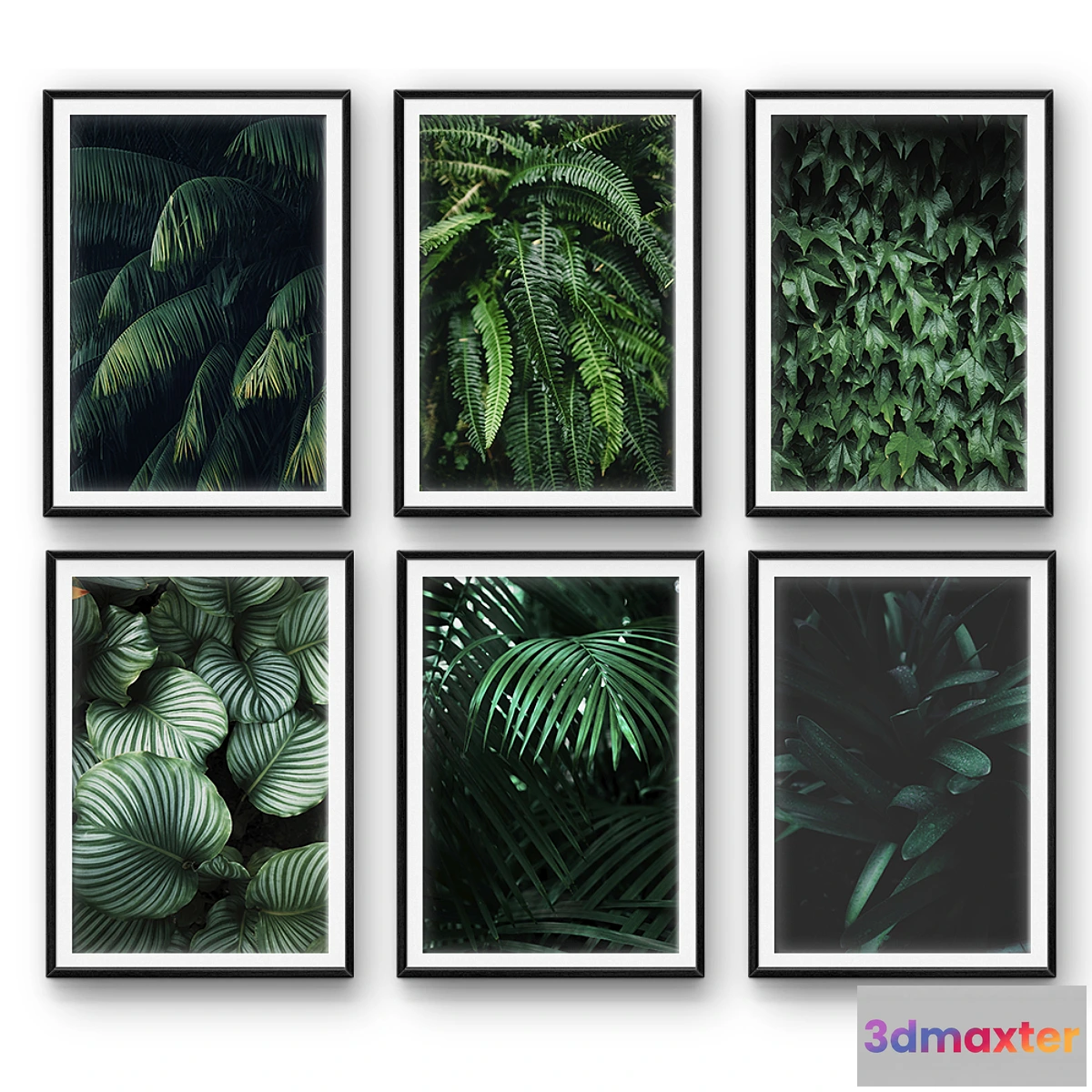 549375 - Tropical leaves  set 26