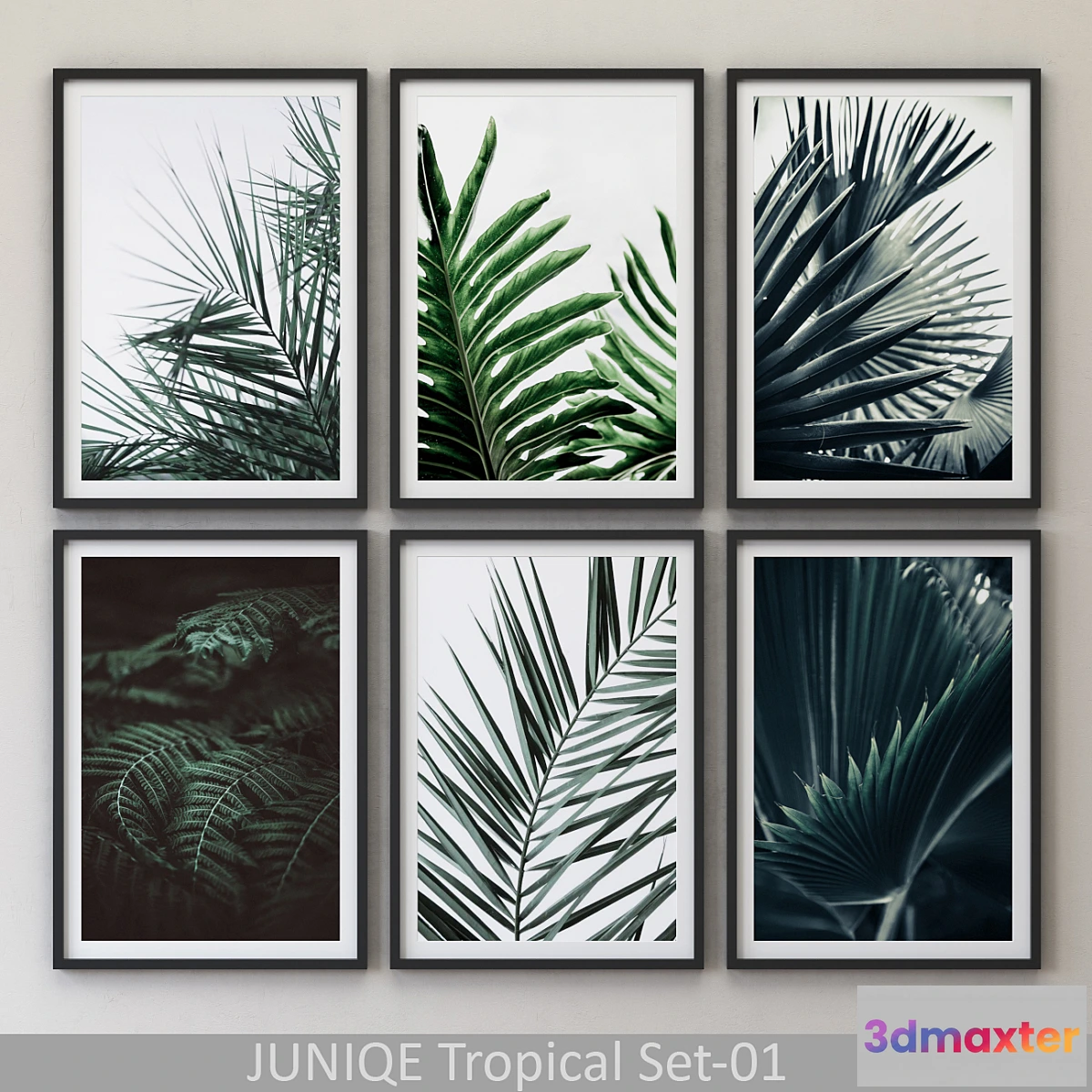 580984 - Tropical Set-01 Framed