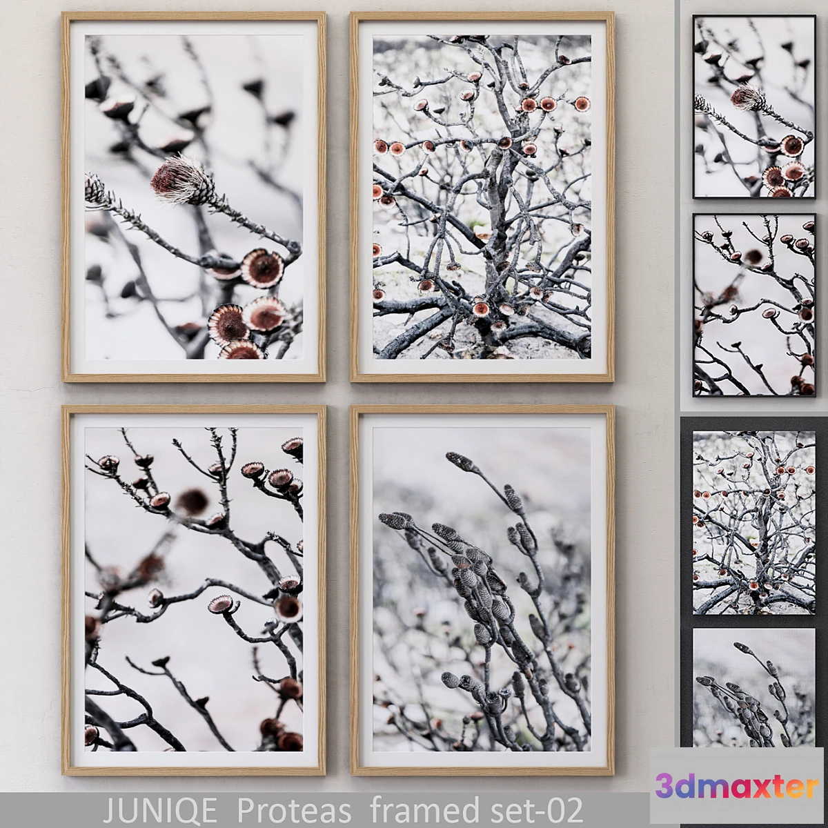 580994 - Proteas framed set-02