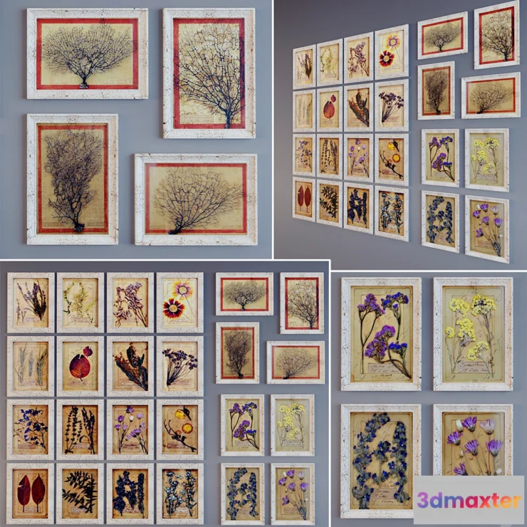 627493 - Picture Of The “Provence”