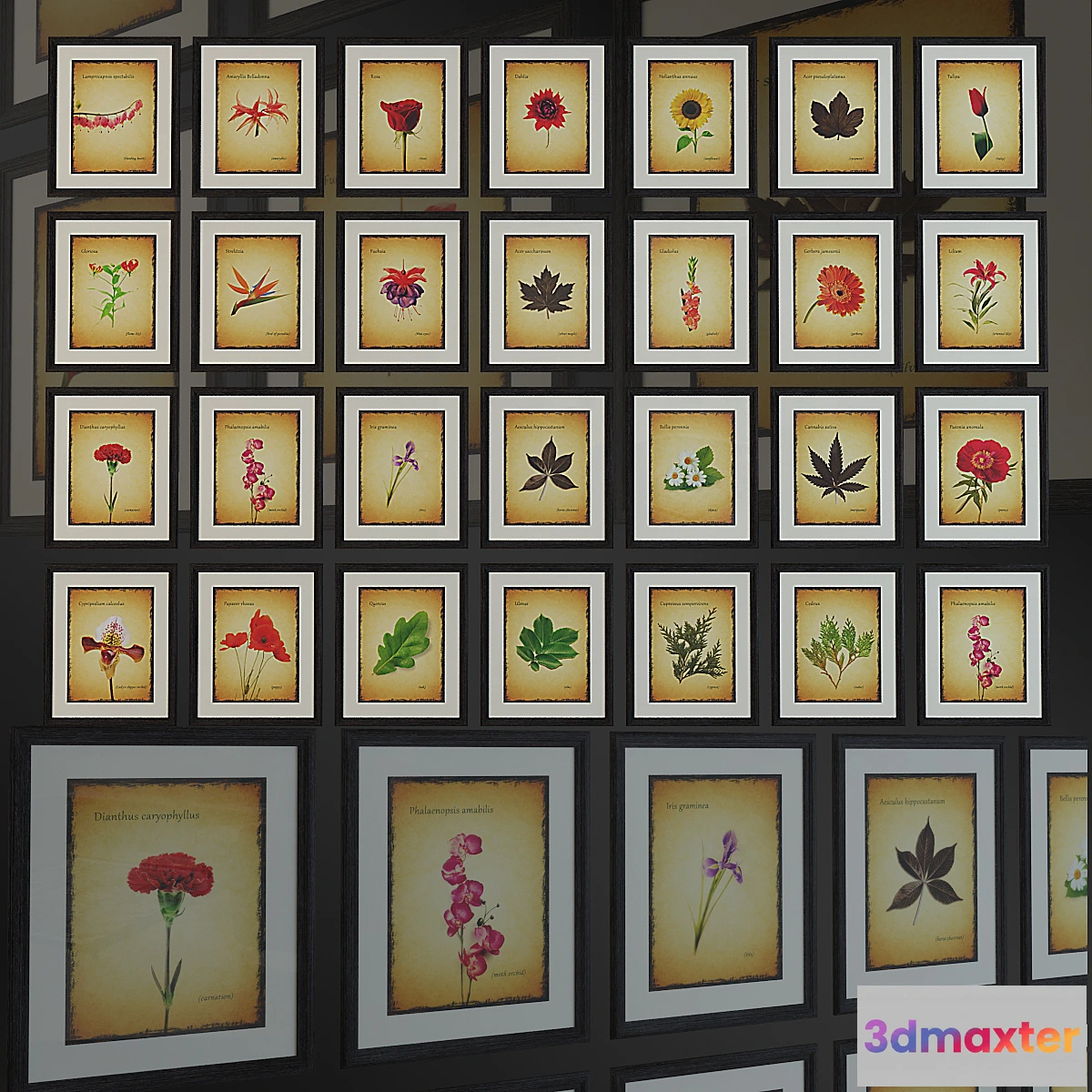 634369 - Mark Rogan - Botanical Potpourri. Poster.