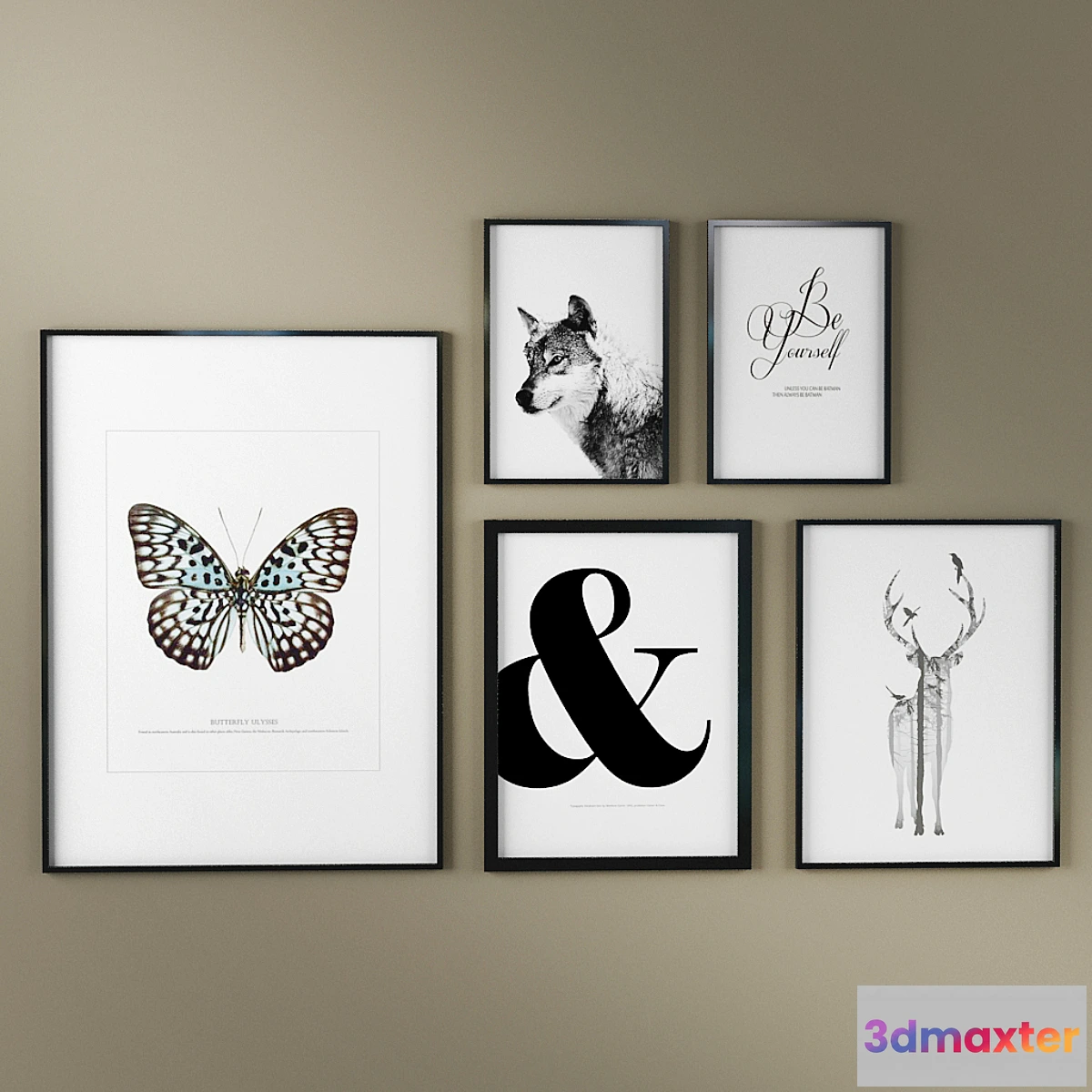 638855 - Set of photos