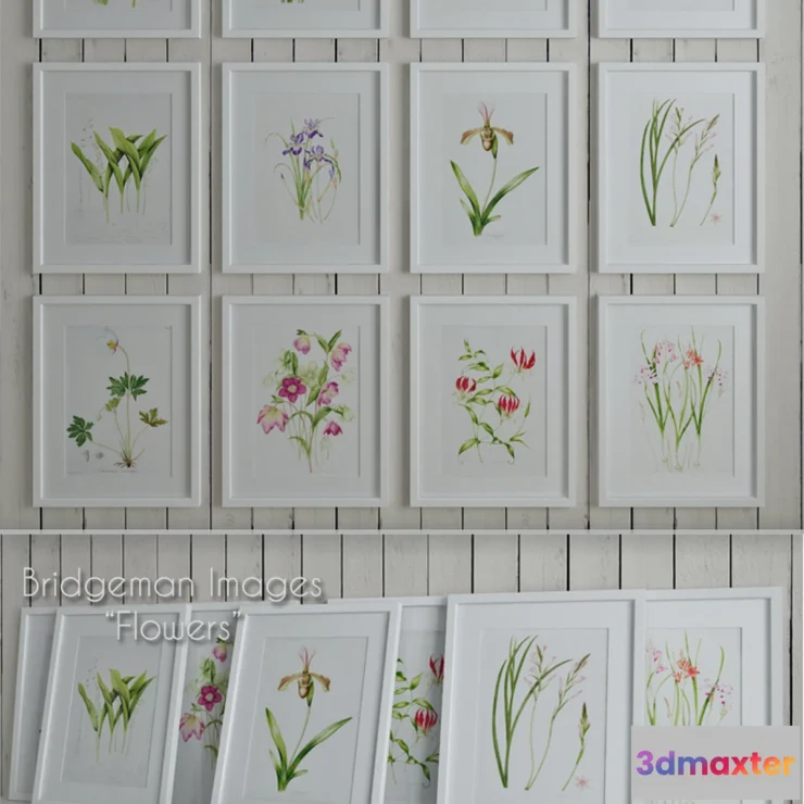 641973 - Bridgeman Images “Flowers”