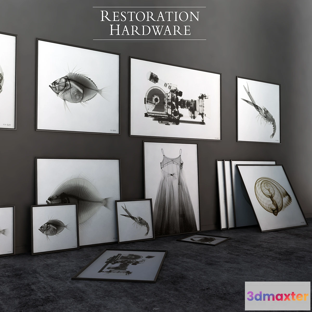 651999 - RH Nick Veasey X-RAY photography set