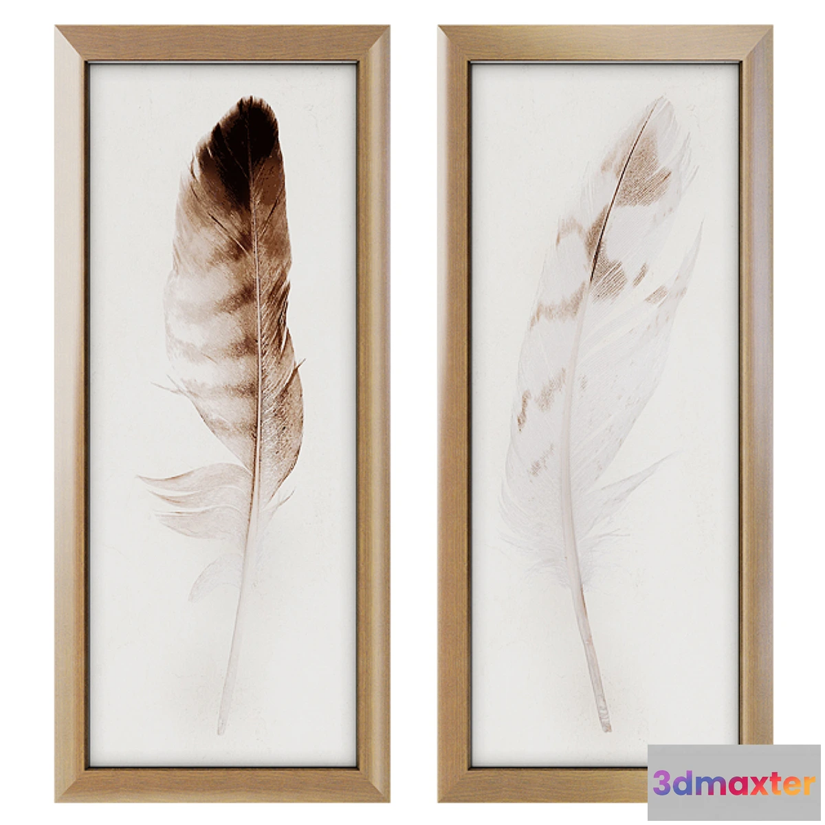 652087 - Feather Panel Framed Art Print